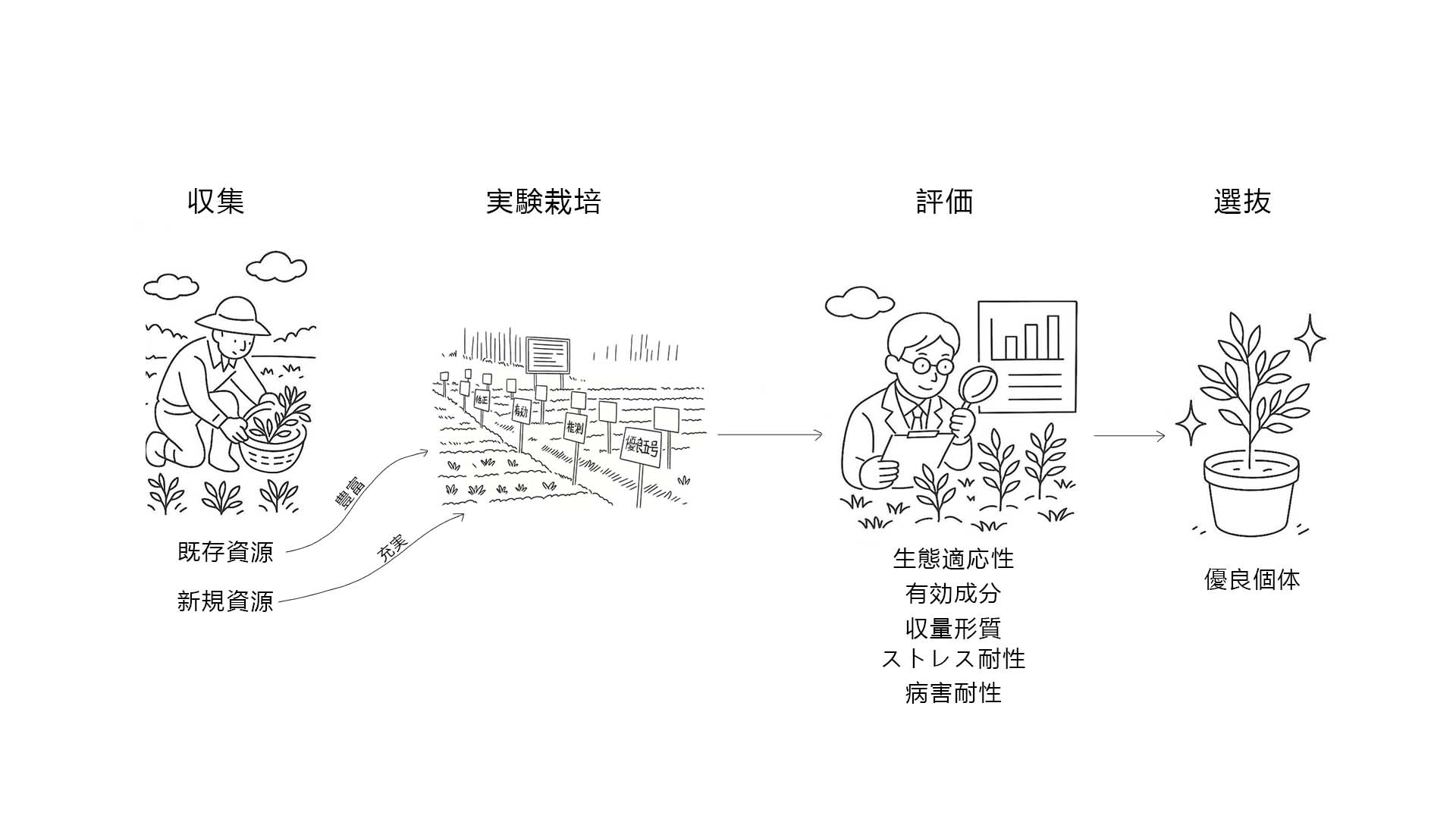 种植插图.jpg