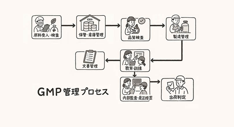 gmp插图.jpg
